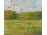 Virágzó rét 1919